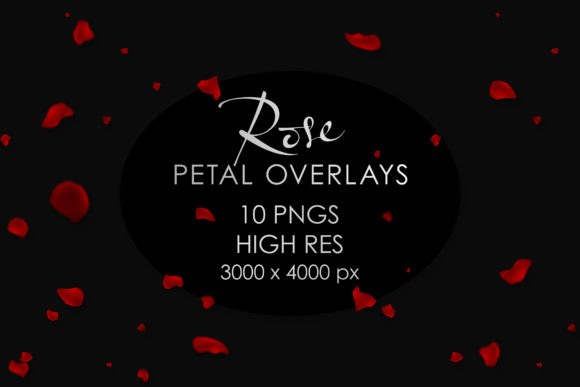Adding Movement and Romance with Rose Petals